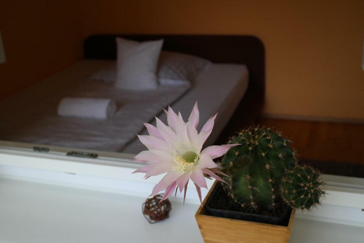 Bamboo Wellness Apartment Siófok Extérieur photo